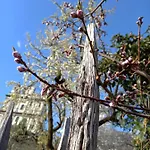 Una Casa Tra Gli Alberi 住宿加早餐酒店 *