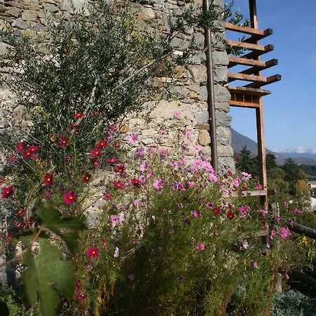 Una Casa Tra Gli Alberi Bed and breakfast *