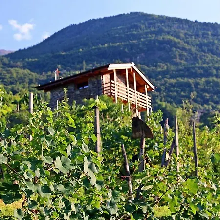 Bed and breakfast Una Casa Tra Gli Alberi Tresivio