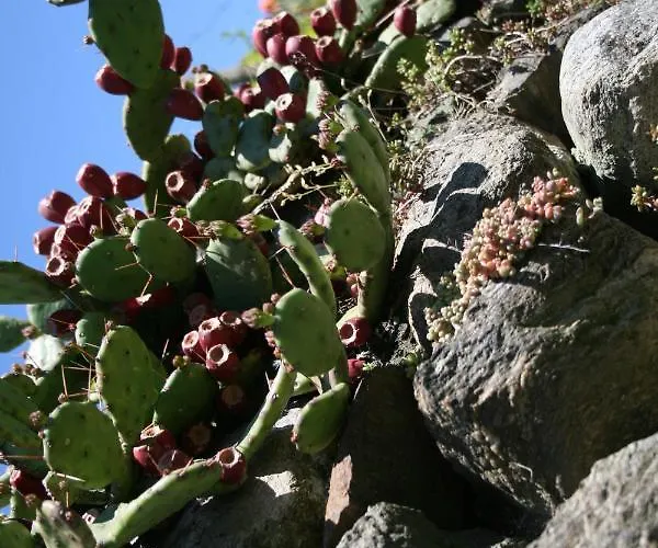 Una Casa Tra Gli Alberi Panzió Tresivio