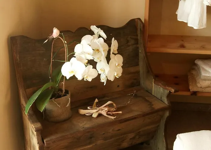 Panzió Una Casa Tra Gli Alberi *