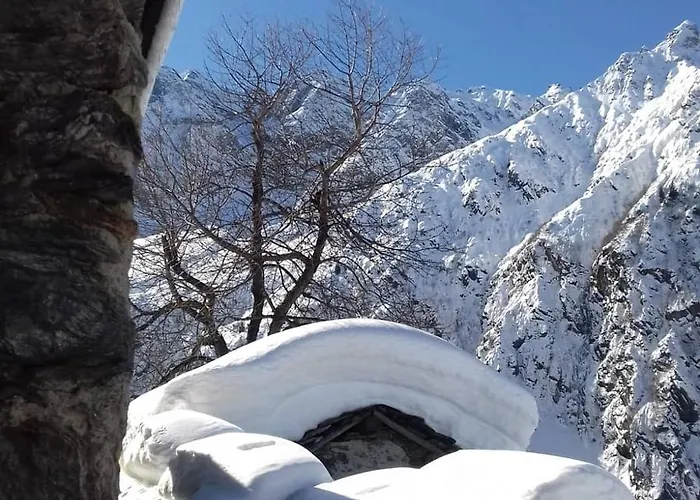 Una Casa Tra Gli Alberi Panzió Tresivio
