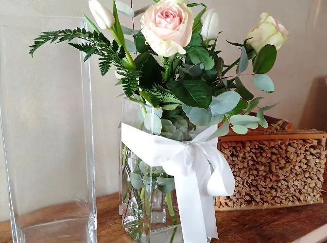 Una Casa Tra Gli Alberi Panzió