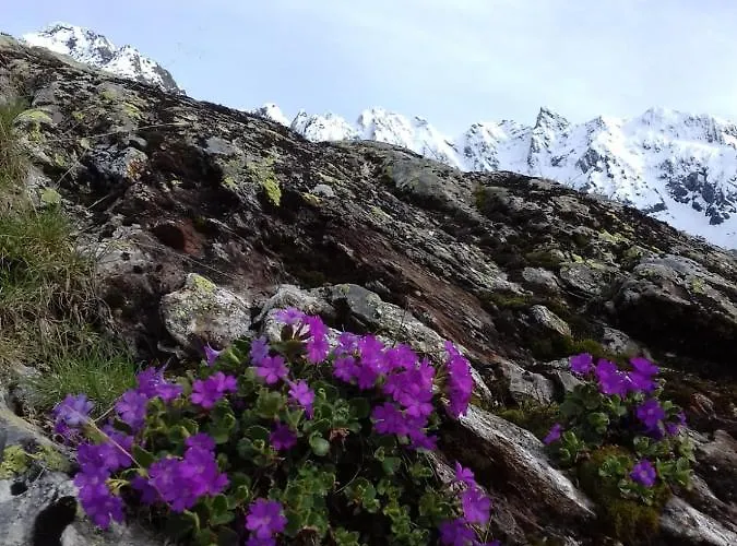 Panzió Una Casa Tra Gli Alberi Tresivio