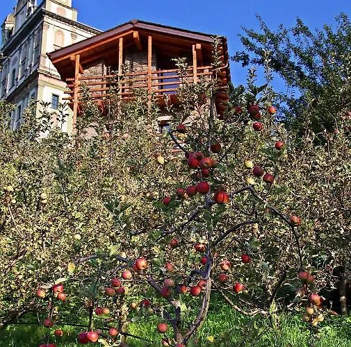 Una Casa Tra Gli Alberi