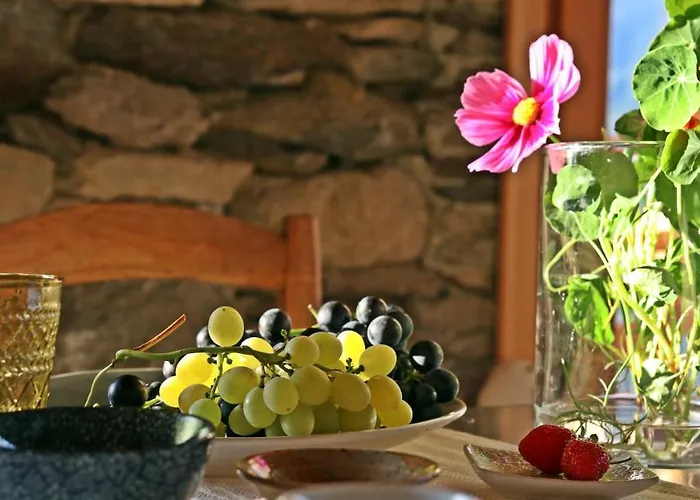 Una Casa Tra Gli Alberi Panzió *