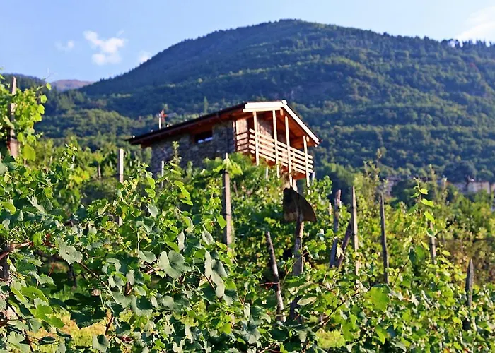 Bed and breakfast Una Casa Tra Gli Alberi Tresivio