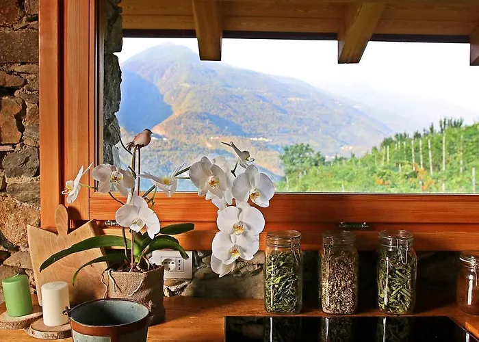 Una Casa Tra Gli Alberi * Tresivio