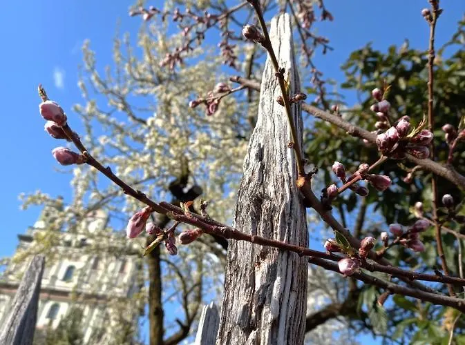 Una Casa Tra Gli Alberi Panzió *