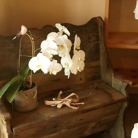 Bed & Breakfast Una Casa Tra Gli Alberi *